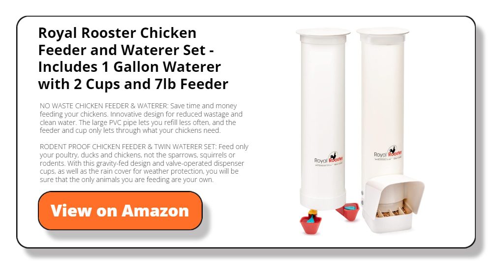 Royal Rooster Chicken Feeder and Waterer Set