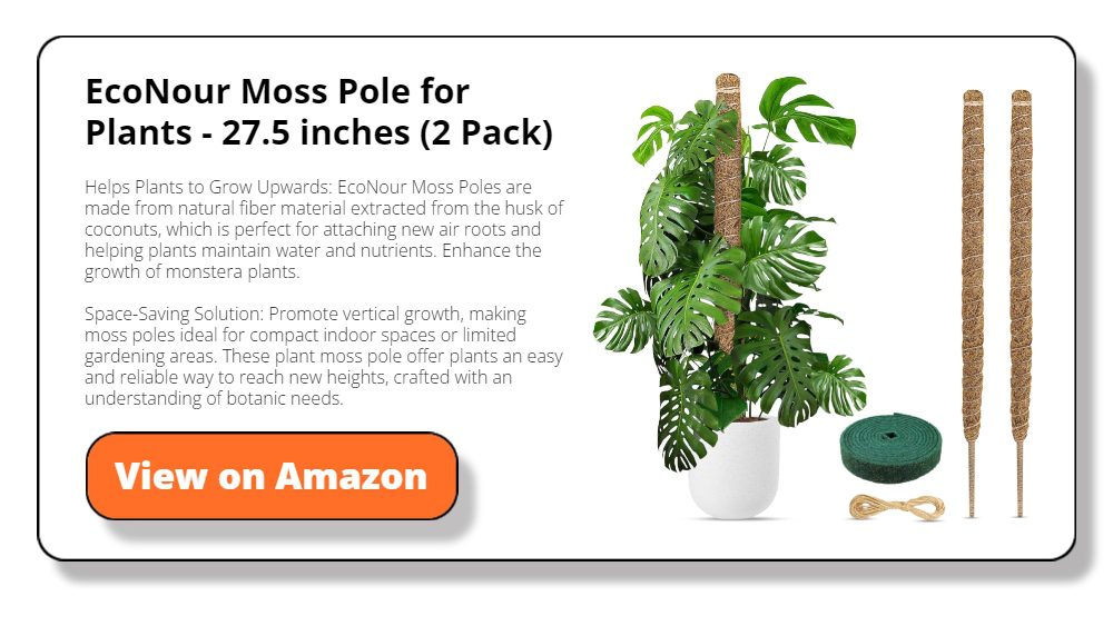 EcoNour Moss Pole for Plants - 27.5 inches (2 Pack) 
