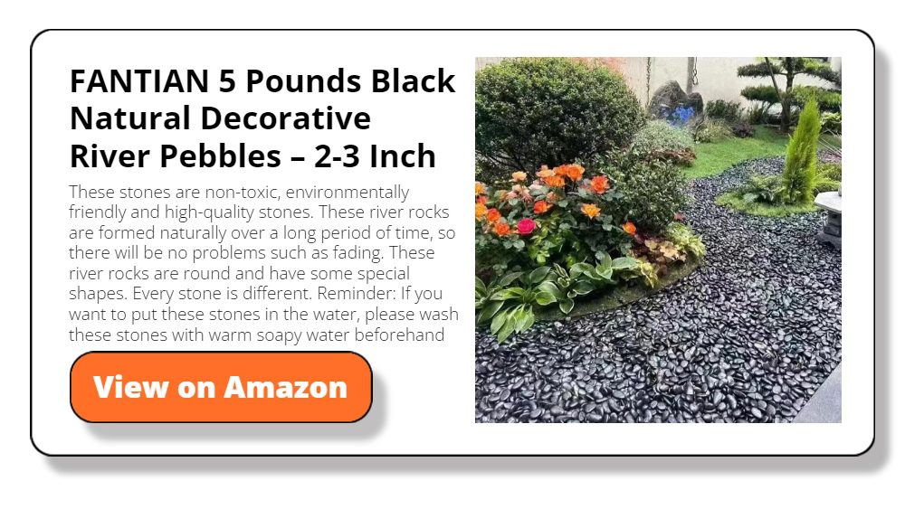 FANTIAN 5 Pounds Black Natural Decorative River Pebbles
