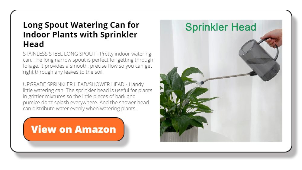 Long Spout Watering Can for Indoor Plants with Sprinkler Head