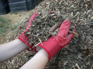 A home gardener choosing the right mulch materials.