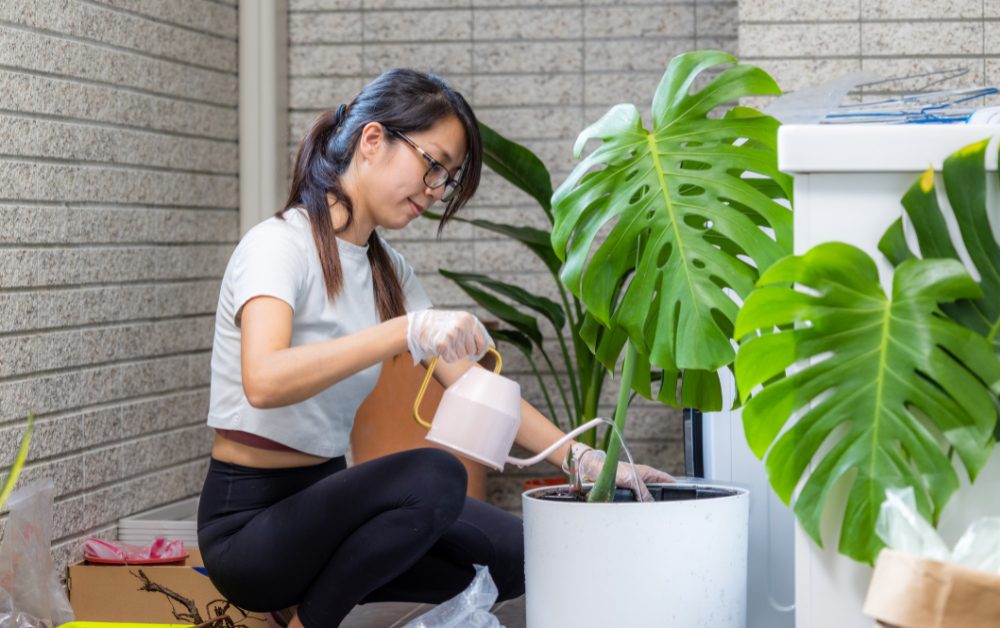 Touching new heights of coziness and style with these tall indoor house plants. 