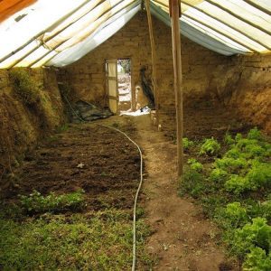 Beneath the Surface: Exploring the Advantages of Underground Greenhouses