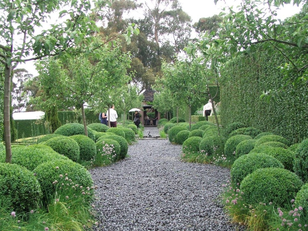 An image of a gravel garden with spherical bushes creating a path. 