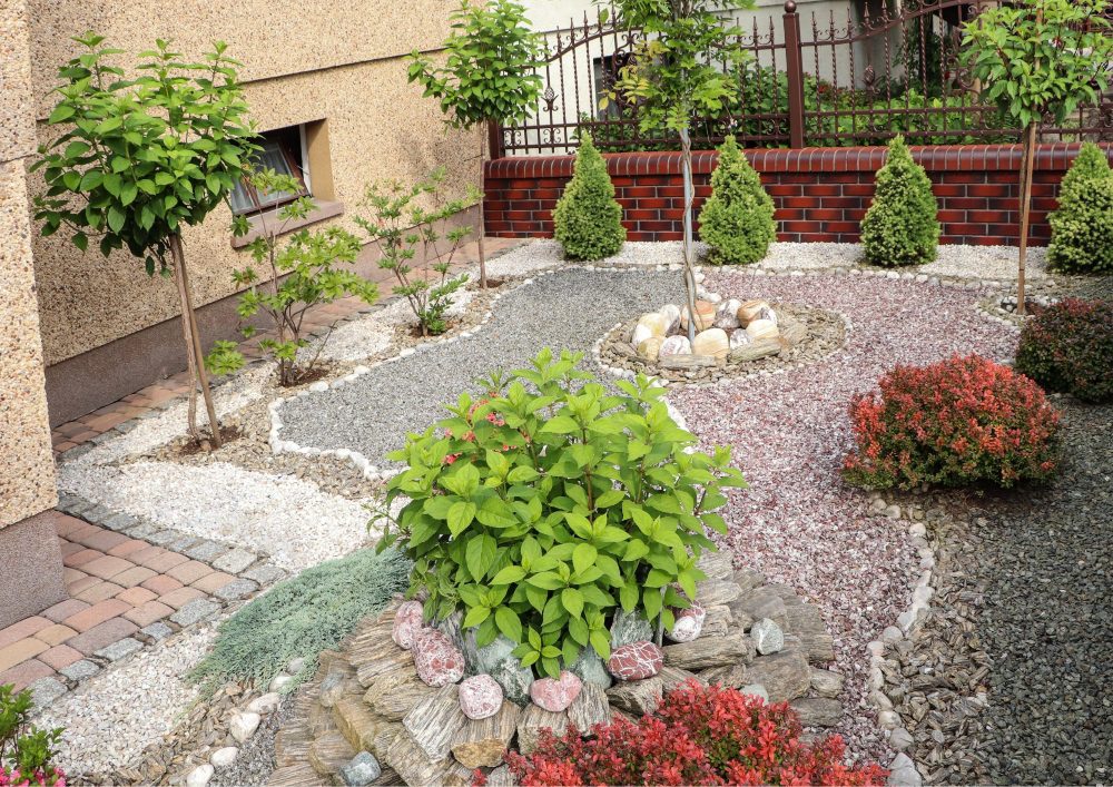 Gravel gardens provide a versatile environment for a wide range of plants.