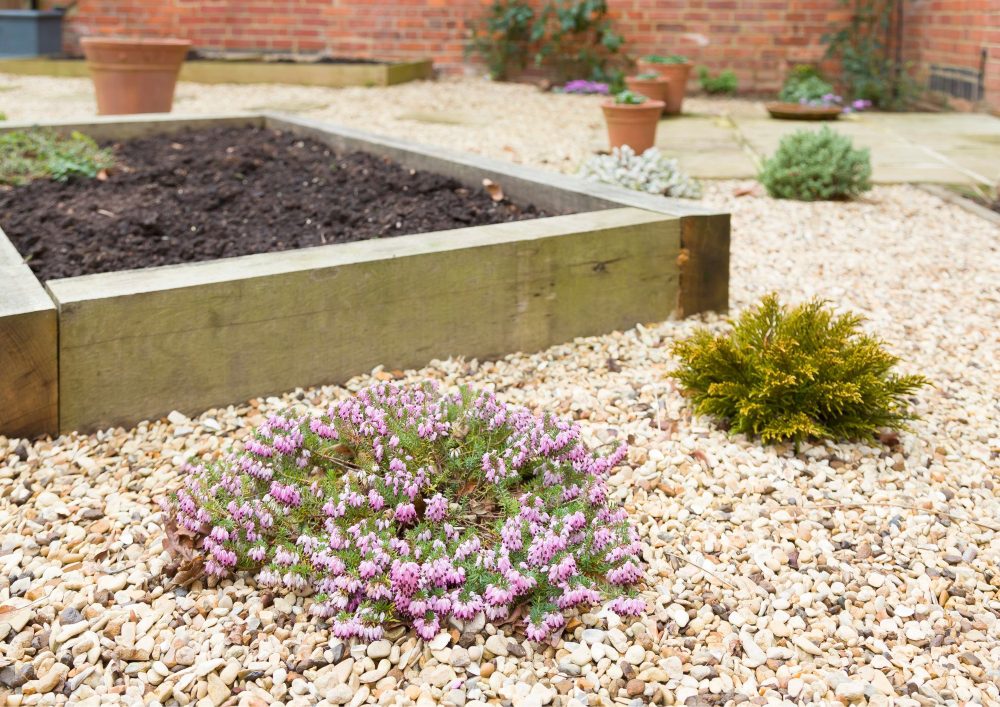 Gravel gardens are well-suited for challenging areas, such as spaces with poor soil quality or areas prone to erosion.