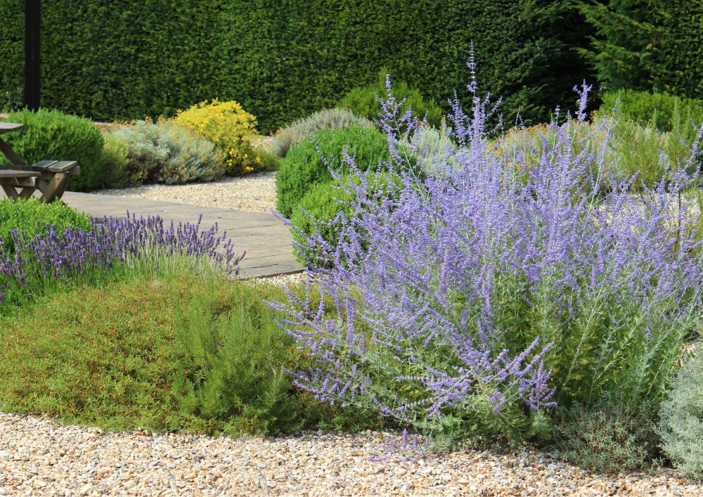 Gravel gardens offer flexibility in design and layout. 