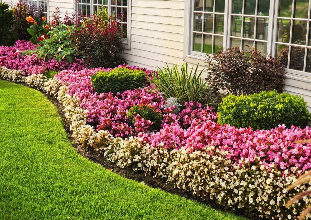 A well-designed side garden can enhance the beauty of your property.