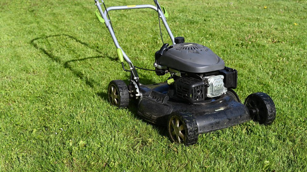 A black lawn mower on a bed of grass.