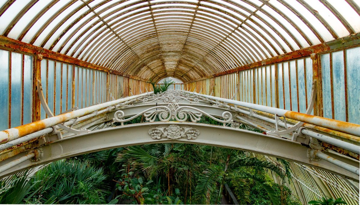 An interior of an old Victorian greenhouse. 