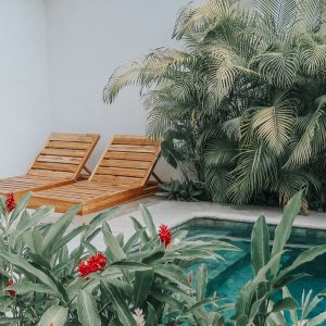 Tropical Garden Design: How to Choose the Perfect Plants and Flowers