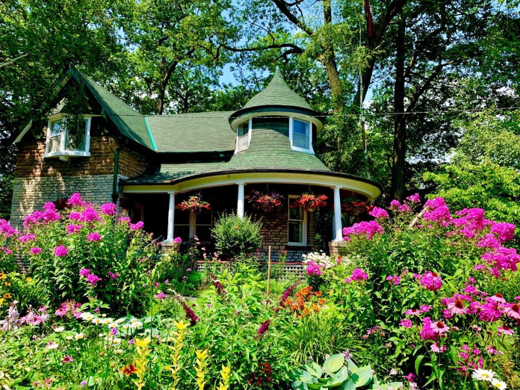 An image of a flower garden at home.