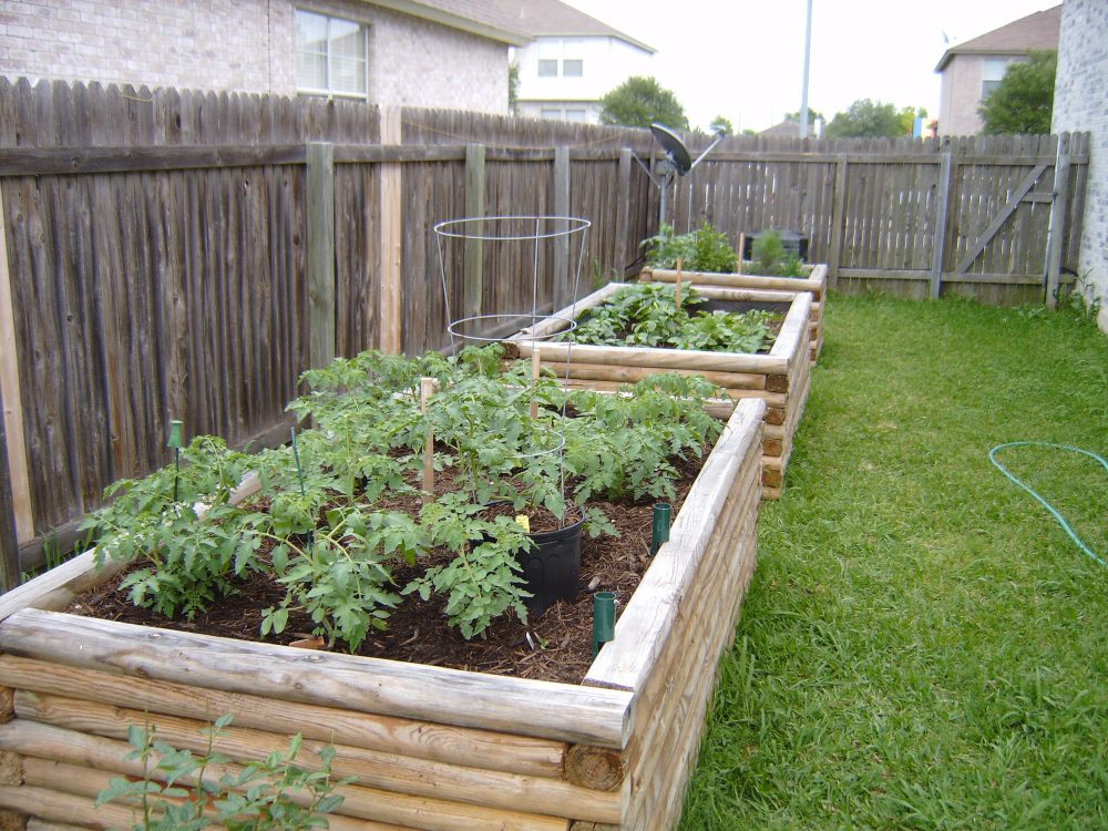 Using raised beds for gardening