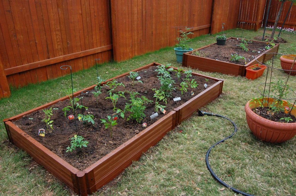 Different raised garden beds.