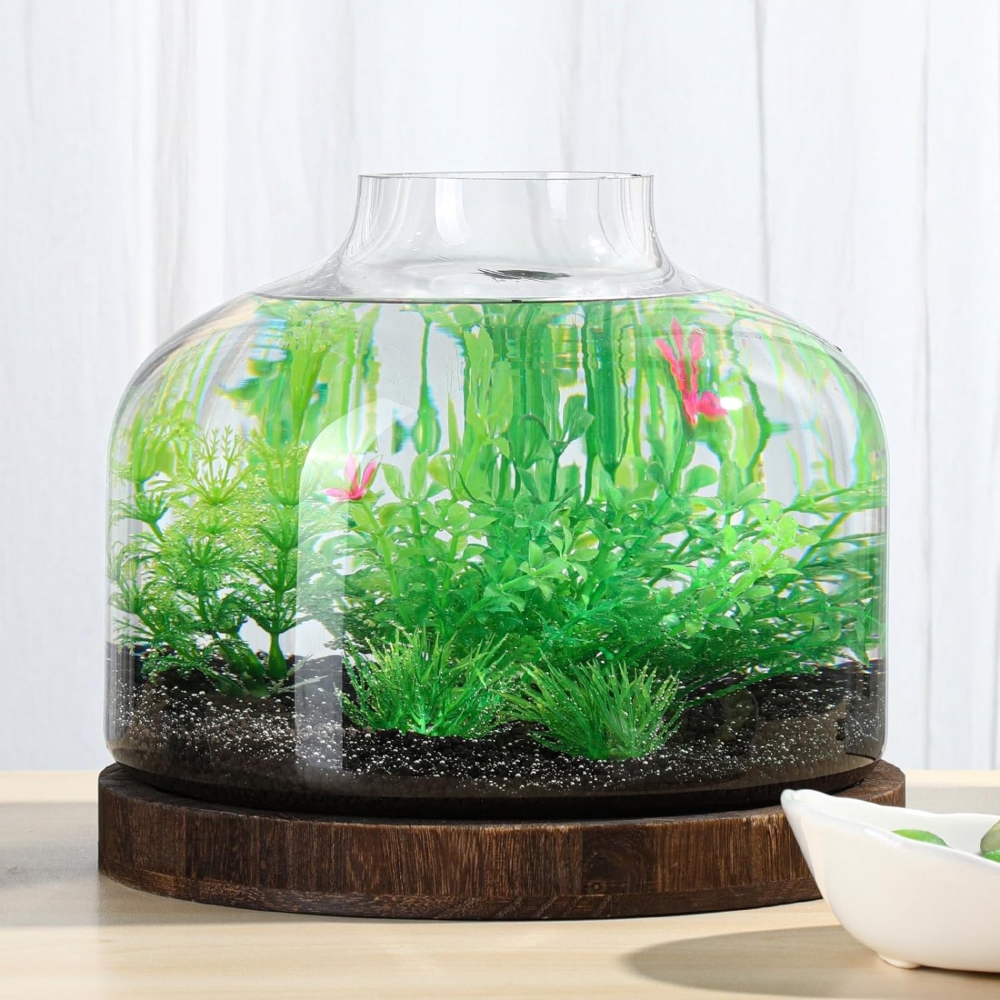 An image of a planted fish bowl.