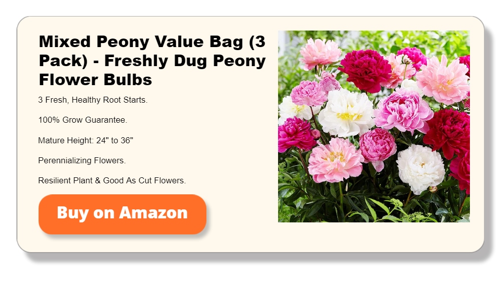 Mixed Peony Value Bag (3 Pack) - Freshly Dug Peony Flower Bulbs