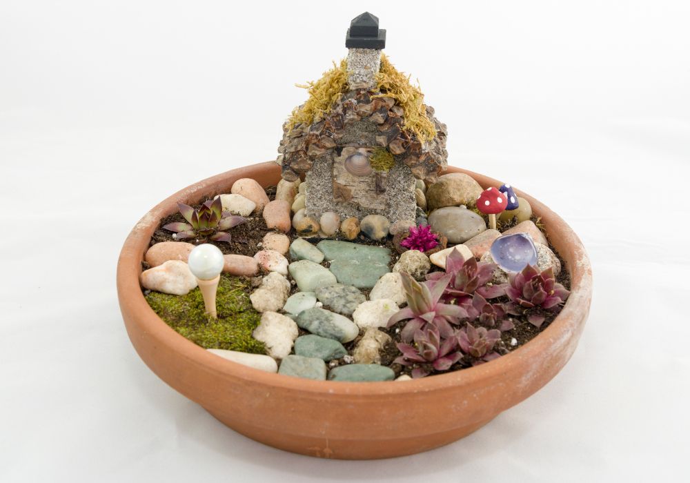 An image of a fairy garden.