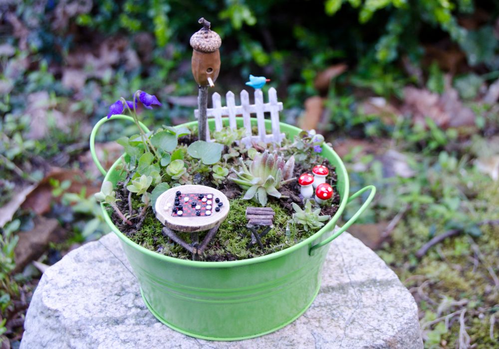 An image of a fairy garden.