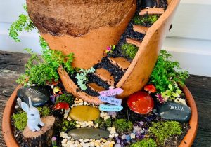 An image of a fairy garden.