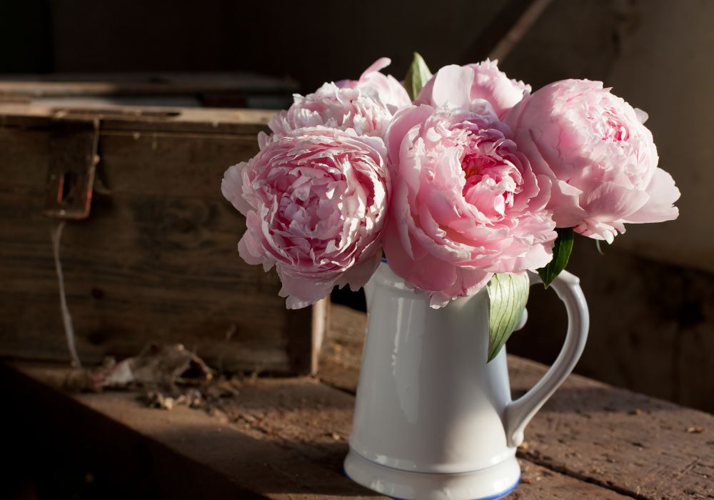 Peonies in a pitcher.