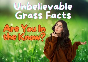 Unbelievable Grass Facts: Are You In the Know?