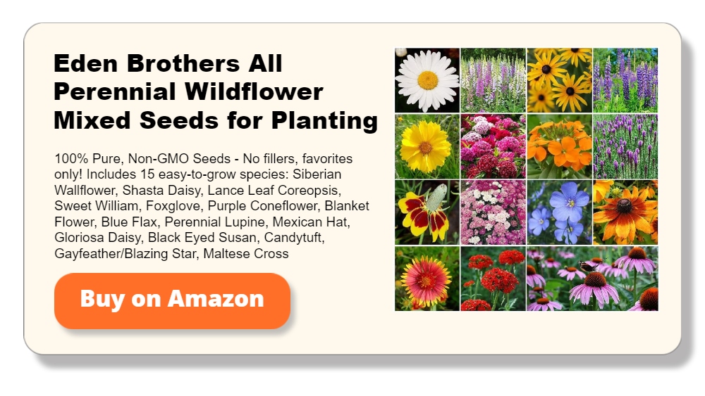 Eden Brothers All Perennial Wildflower Mixed Seeds for Planting