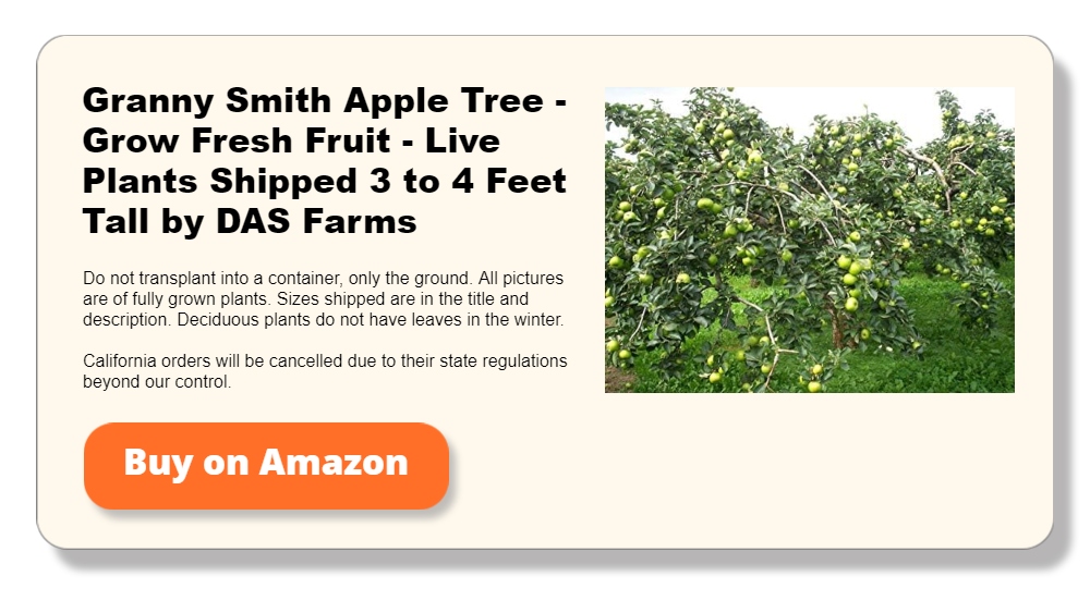 Granny Smith Apple Tree - Grow Fresh Fruit - Live Plants Shipped 3 to 4 Feet Tall by DAS Farms