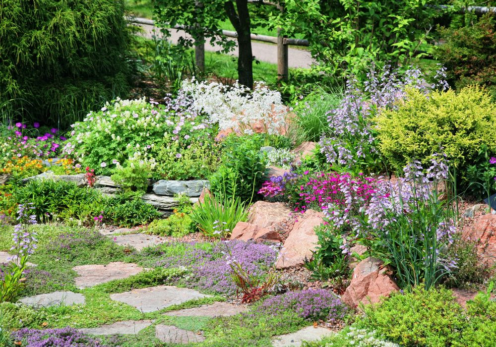 An image of landscaping with rocks.