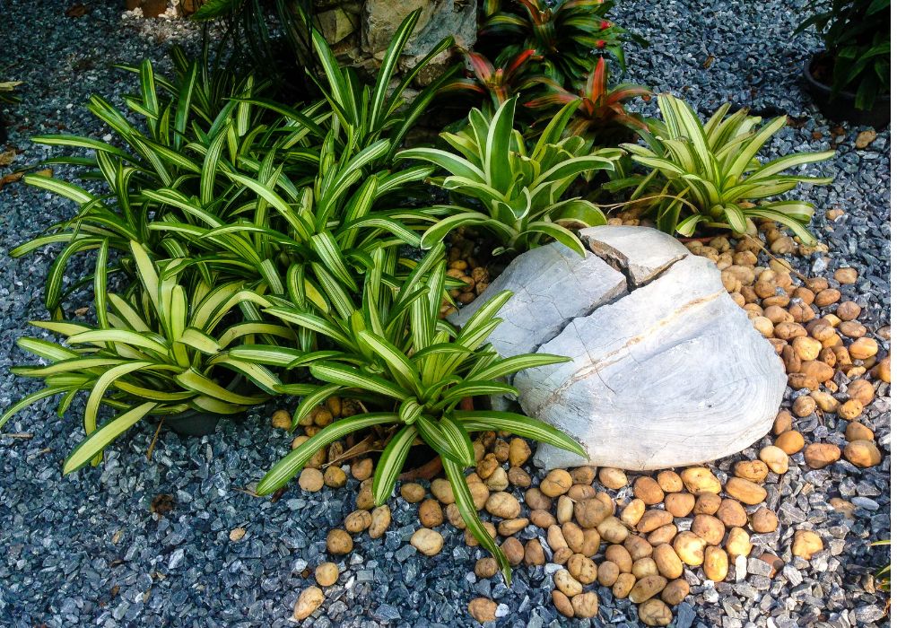 An image of landscaping with rocks.