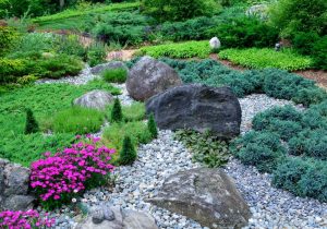 An image of landscaping with rocks.