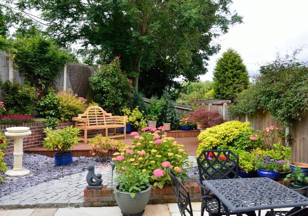 An image of trees in a small garden.