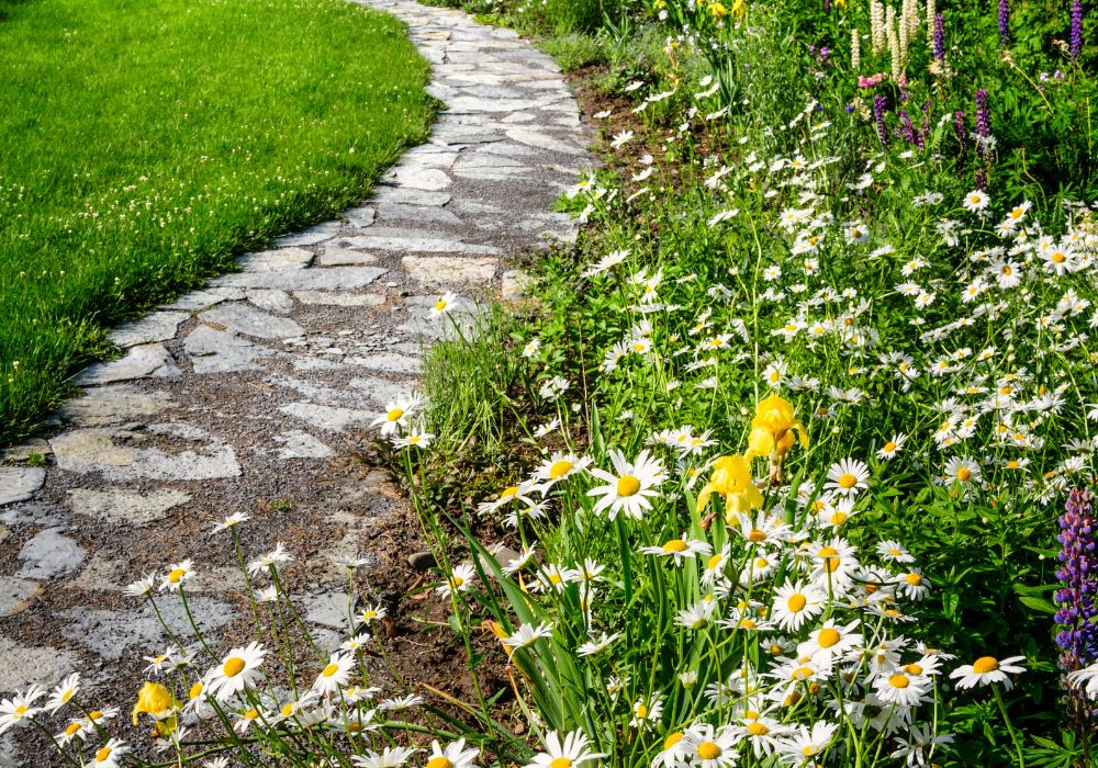 An image of wildflowers