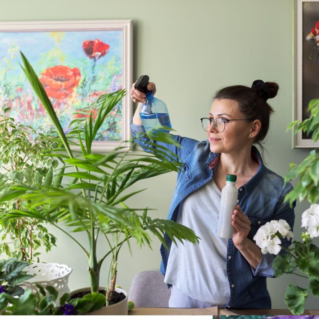 An image of a gardener spraying liquid fertilizer onto their plants. 