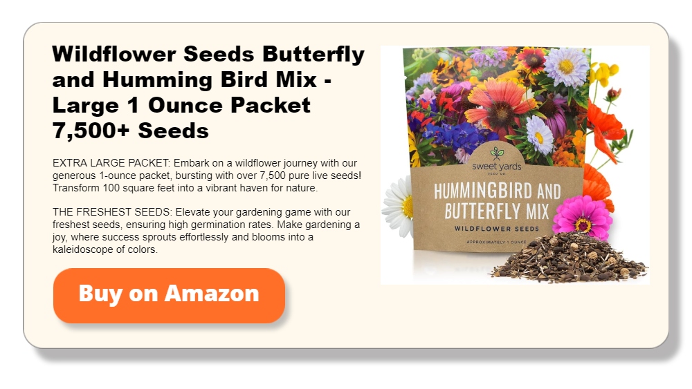 Wildflower Seeds Butterfly and Humming Bird Mix