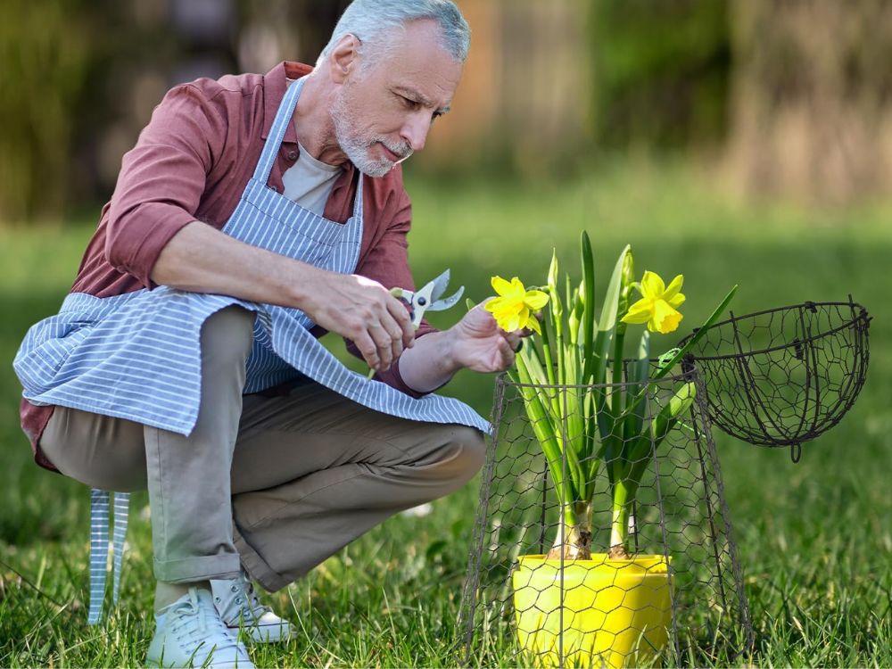 An image of a man pruning his flowers. 