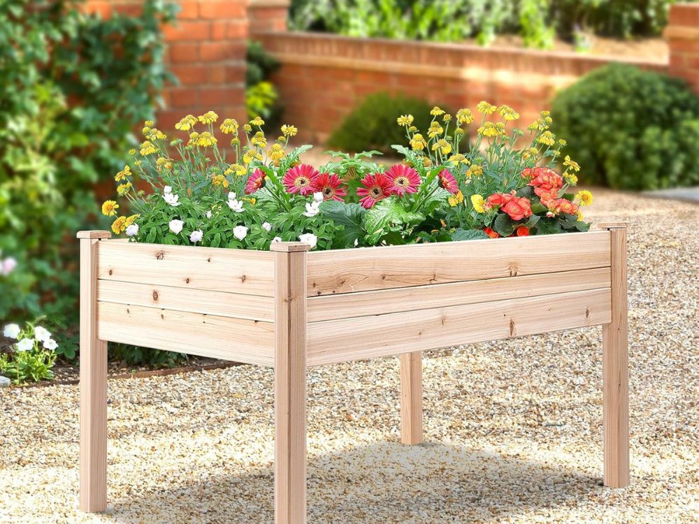 An image of a wooden garden bed that is waist high. 