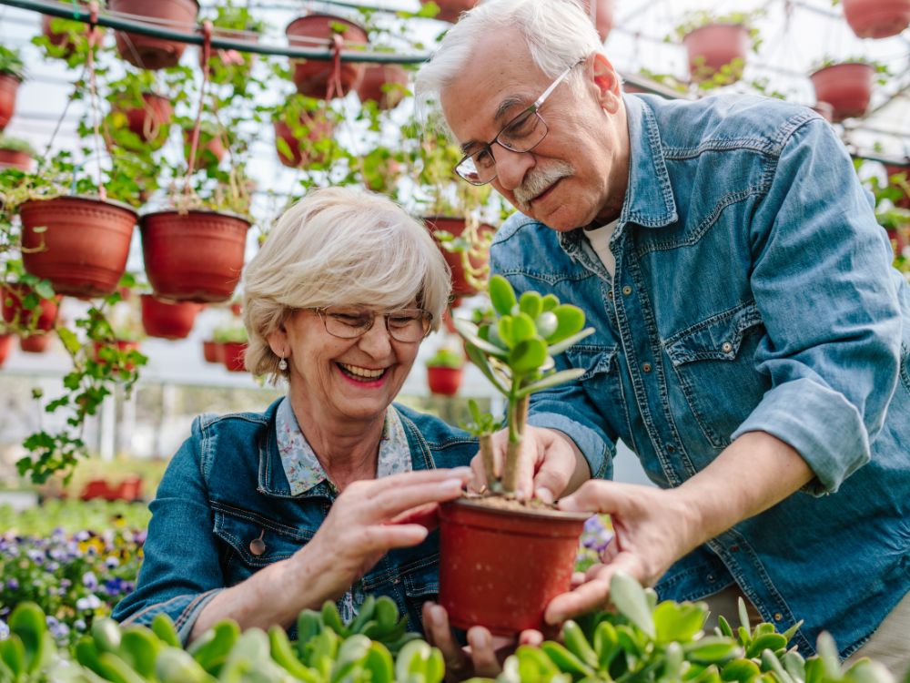 An image of a senior couple gardening.